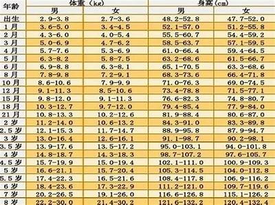 少儿体育器材标准详解，儿童体育器材有哪些图片